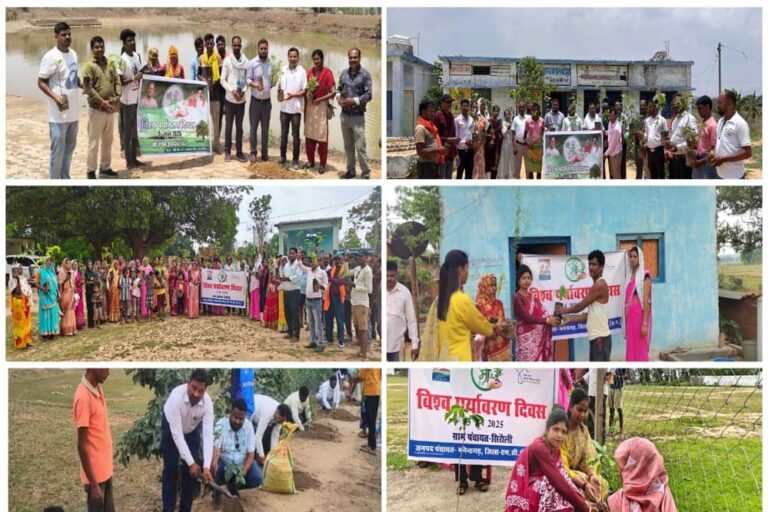 जिले में पर्यावरण दिवस पर 6300 पौधे रोपे गए, 15 जून तक 15,000 आवासों में वृक्षारोपण का लक्ष्य