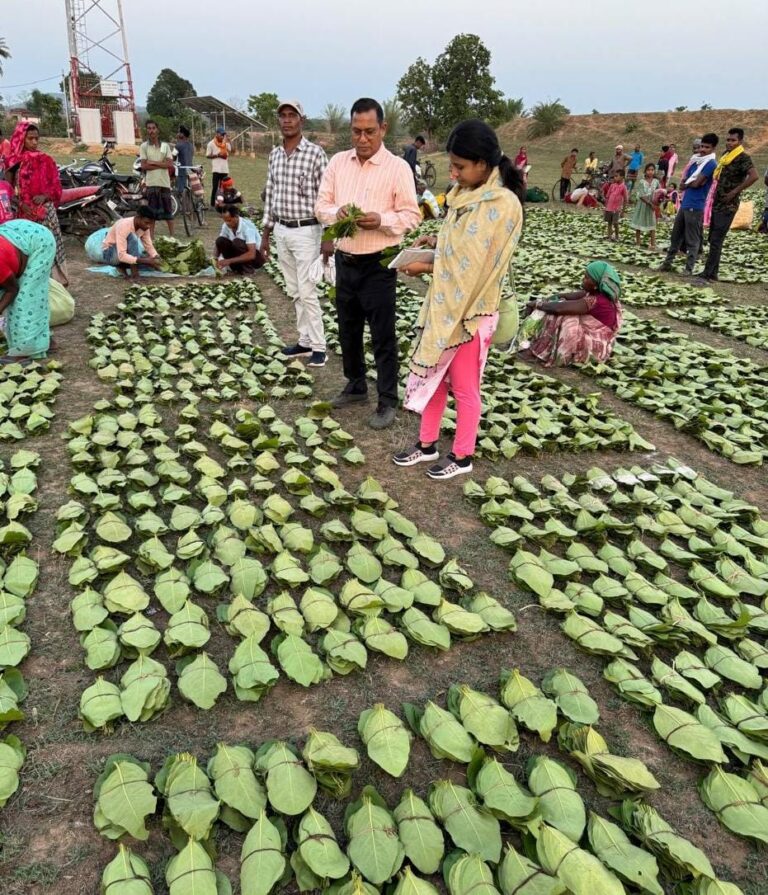 CG NEWS- मुख्यमंत्री विष्णु देव साय 21 जून को करेंगे चरण पादुका योजना का प्रदेशव्यापी शुभारंभ…