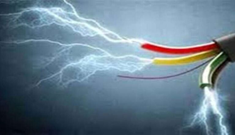 करंट लगाकर शिकार करने की कोशिश जानलेवा साबित हुई, युवक की मौत से गांव में सनसनी