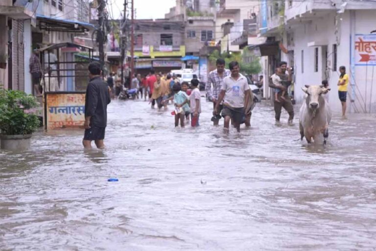 छत्तीसगढ़ में मॉनसून मेहरबान: अब तक 595.2 मिमी औसत बारिश दर्ज