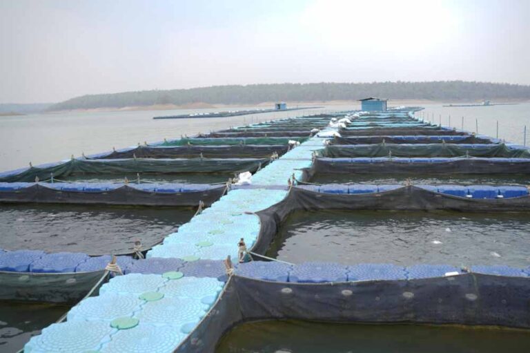 छत्तीसगढ़ में फिशरीज के नये युग की शुरूआत, हसदेव डुबान में बनेगा पहला एक्वा पार्क