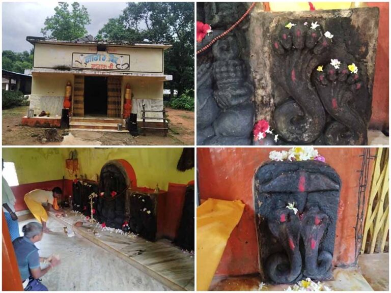 नाग पंचमी पर विशेष: 11वीं शताब्दी का चमत्कारी नाग मंदिर, जहां हर रोग पाता है राहत नाग पंचमी पर विशेष: 11वीं शताब्दी का चमत्कारी नाग मंदिर, जहां हर रोग पाता है राहत