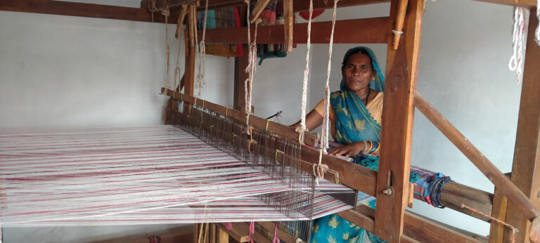 बिहान योजना से बदली किस्मत: ज्योति बनीं आत्मनिर्भरता की मिसाल…