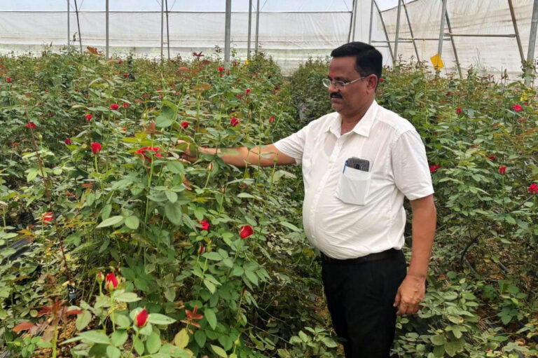 फूलों की खेती से बदल गई किस्मत: किसान दिनेश सिंह सालाना कमा रहे 10 लाख रुपये….