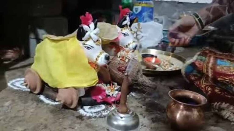 प्रदेश में धूमधाम से मनाया जा रहा पोला तिहार, बैलों की सजावट ने बढ़ाई रौनक प्रदेश में धूमधाम से मनाया जा रहा पोला तिहार, बैलों की सजावट ने बढ़ाई रौनक