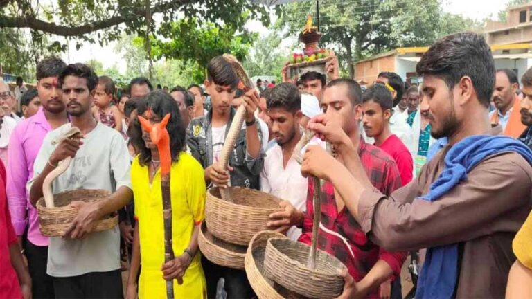 ऋषि पंचमी पर अनोखी परंपरा: सांपों की शोभायात्रा निकाली गई गांव में