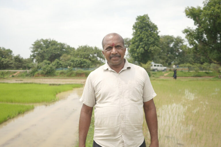 समय पर मिला खाद, खिल उठी उम्मीदें, संतोष की मेहनत में भरेंगे रंग….