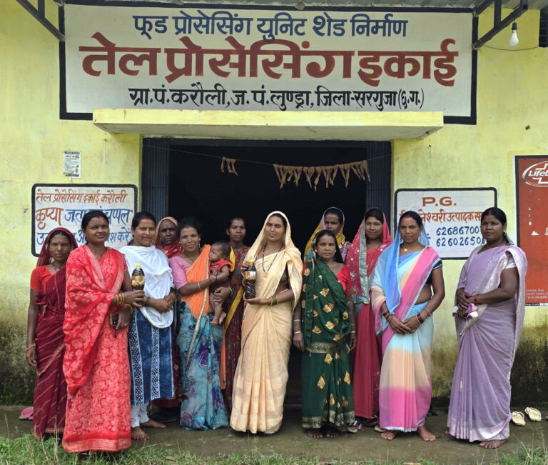 महिला सशक्तिकरण की मिसाल बन रहा सरगुजा जिले का करौली गांव….