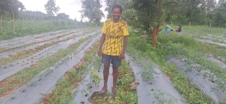 आधुनिक बागवानी व सब्जी उत्पादन से बदल रही है आदिवासी किसानों की तकदीर….