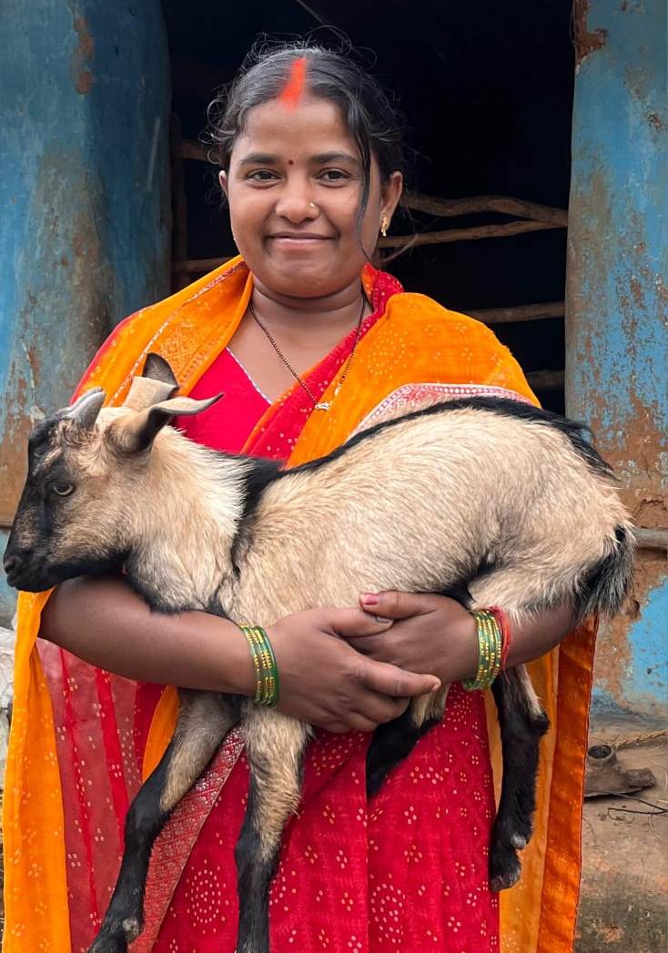 आत्मनिर्भरता की मिसाल : बकरी पालन से सविता रजक बनीं ग्रामीण महिलाओं की प्रेरणा…. आत्मनिर्भरता की मिसाल : बकरी पालन से सविता रजक बनीं ग्रामीण महिलाओं की प्रेरणा….