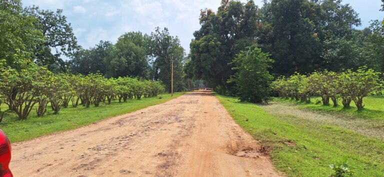 चिर्रा से श्यांग मार्ग का निर्माण कार्य शुरू….