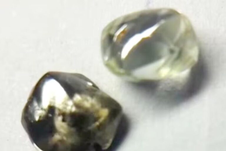 पन्ना टाइगर रिजर्व के गाइड को मिले दो चमचमाते हीरे, आगामी नीलामी में होंगे रखे