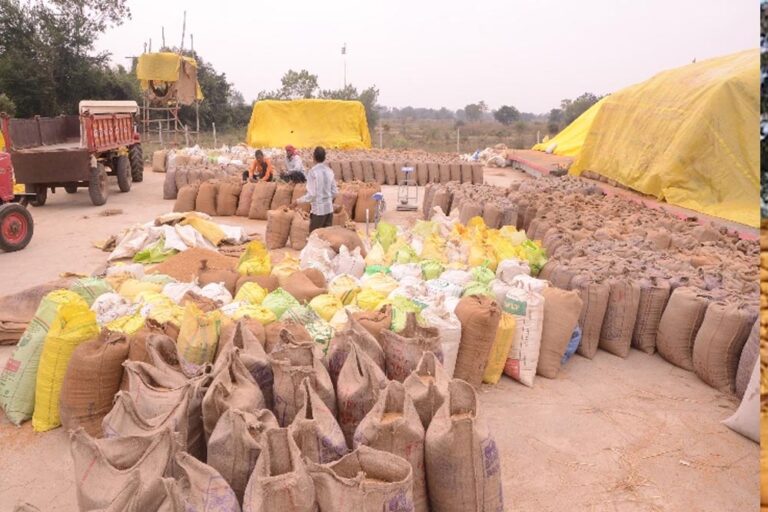 अम्बिकापुर : धान उपार्जन की तैयारी को लेकर प्रशिक्षण संपन्न – कलेक्टर ने दिए आवश्यक दिशा-निर्देश