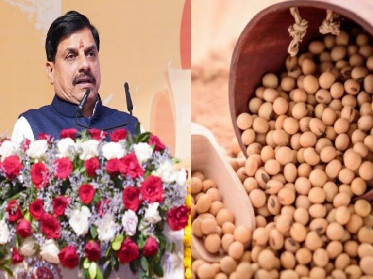 सोयाबीन किसानों के लिए राहत: मोहन सरकार देगी प्रति क्विंटल 1,300 रुपये का भावांतर