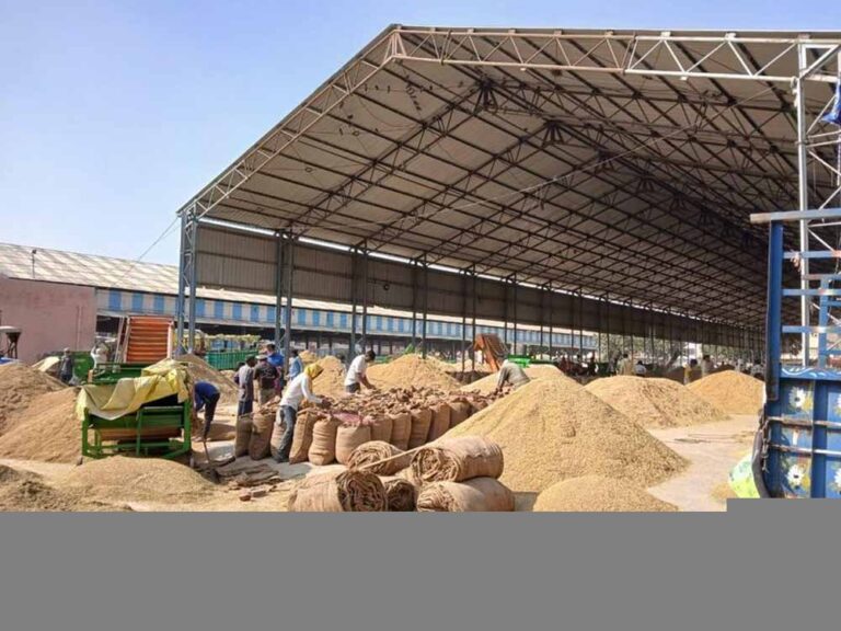 धान खरीदी में सुगमता हेतु ‘तुहर टोकन मोबाइल एप’ प्रारंभ — किसानों को मिलेगी घर बैठे टोकन सुविधा, समितियों में लंबी कतारों से मिलेगी मुक्ति