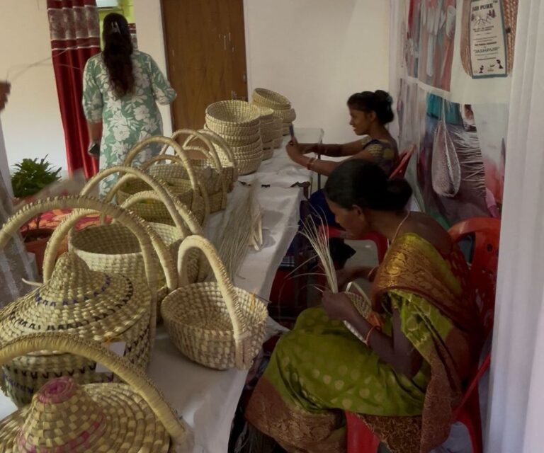 संभाग स्तरीय सरस मेला में दिखेगी महिला सशक्तिकरण की झलक: 6 से 9 नवंबर तक जशपुर के मयाली में लगेगा सरस मेला….